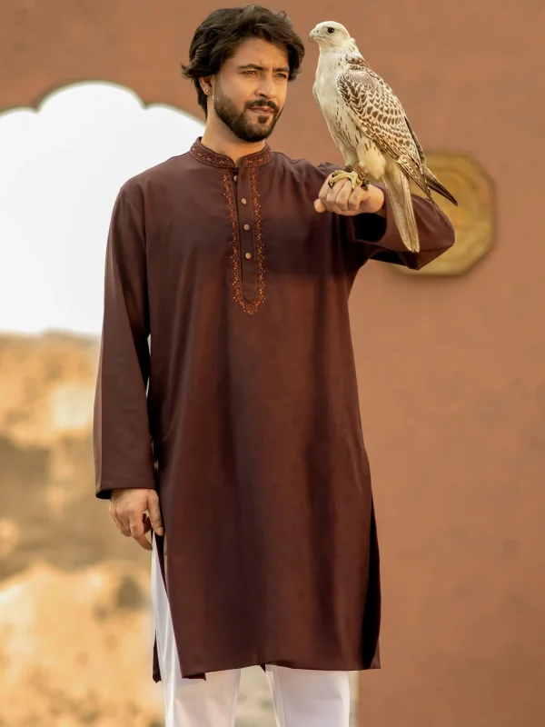 Easy Karchupi Panjabi